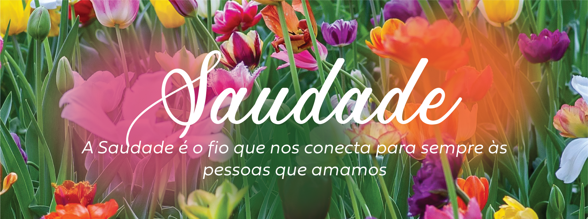 Hero-DiadaSaudade