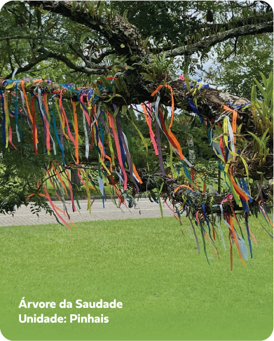 Arvore-da-Saudade