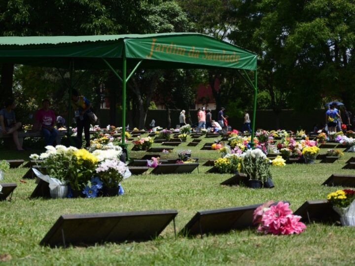Grupo Jardim da Saudade promove visita ao cemitério por meio de realidade virtual