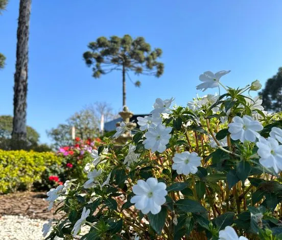 Jardim da Saudade