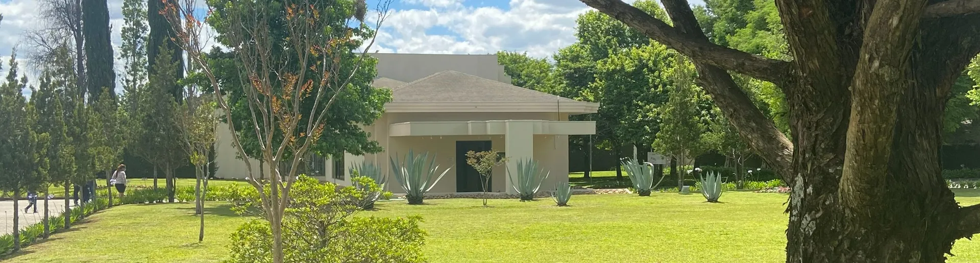 cremação