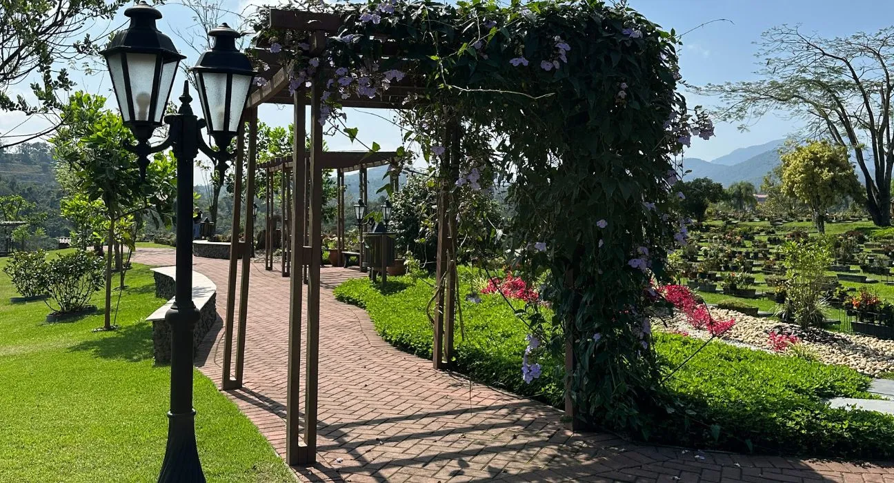 Caminho com arco de flores e plantas, ladeado por lanternas, em um ambiente verde com vista para montanhas e um cemitério ao fundo.