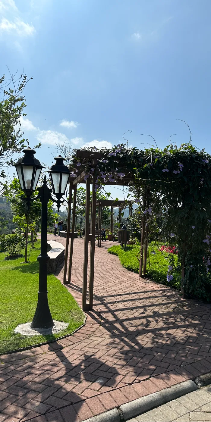 Caminho com arco de flores e plantas, ladeado por lanternas, em um ambiente verde com vista para montanhas e um cemitério ao fundo.
